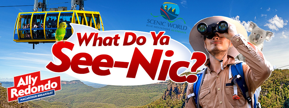 What Do Ya See-Nic?