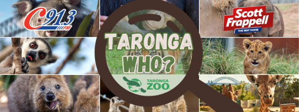 Taronga Who?