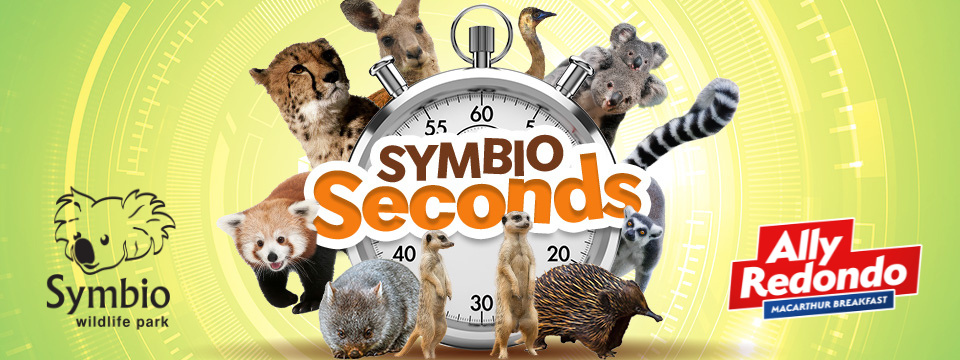 Symbio Seconds