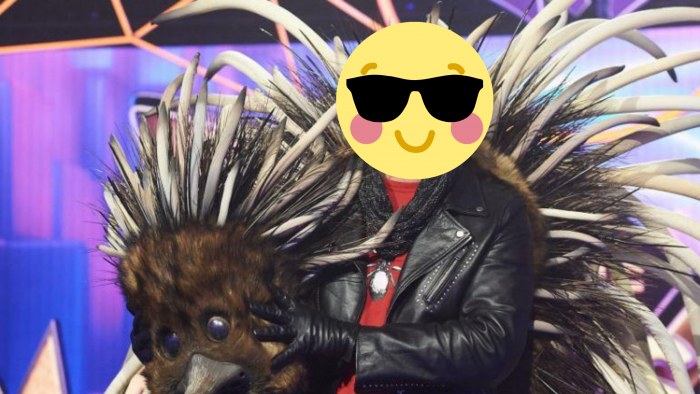 The Masked Singer Australia. was a glitter-haze… | c91.3FM Macarthur's Radio Station