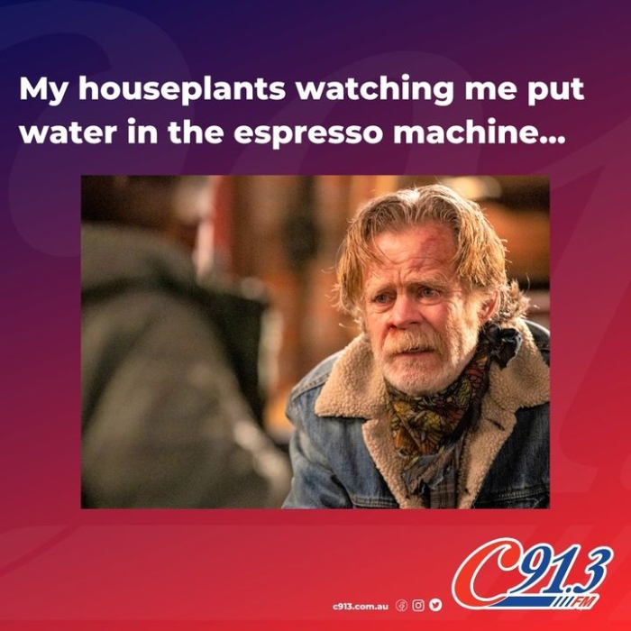 Did you see Ally’s new espresso machine?...