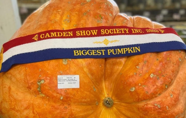 ✨ Camden Show has something for everyone!...
