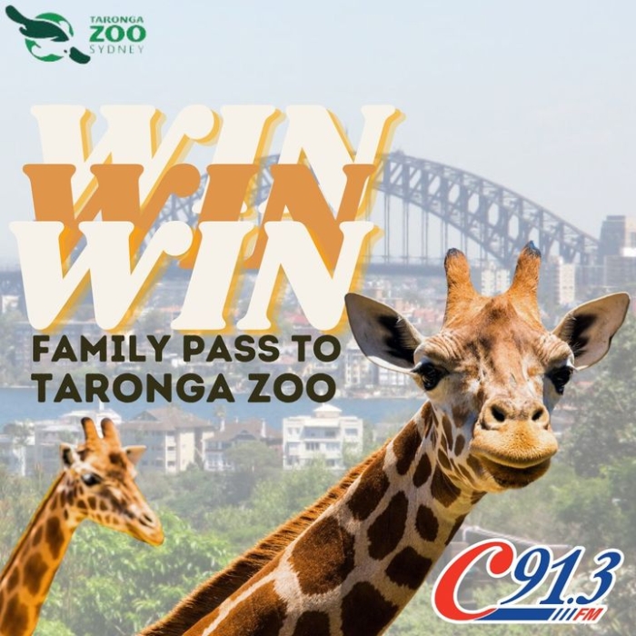✨ WIN on this post ✨ Score a family pass to…