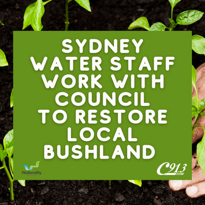 Sydney Water staff work with Wollondilly Shire Council to restore local bushland in Picton!